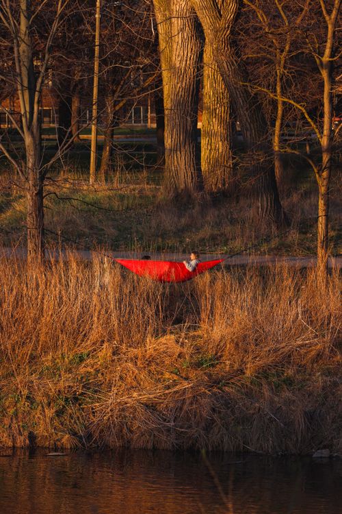 Chillin Images chillin in the park · Free Stock Photo