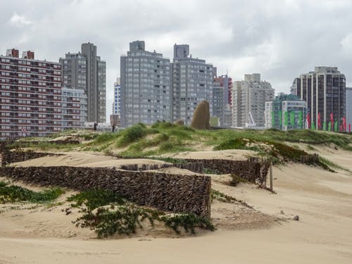 punta del este, 住宅, 住宅區 的 免費圖庫相片