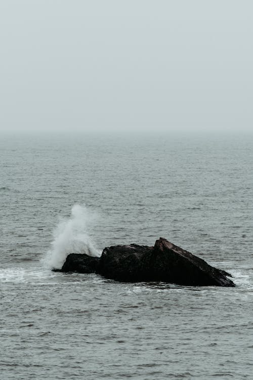 Darmowe zdjęcie z galerii z fala, miażdżący, morze