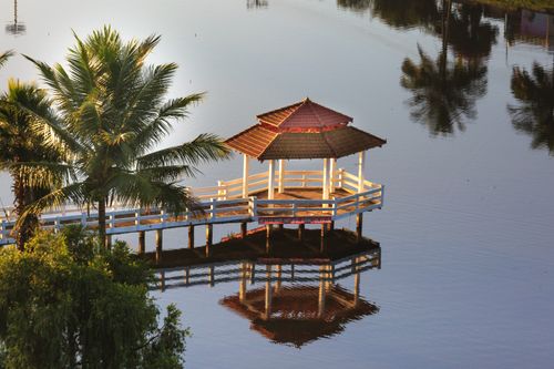 Free A serene view of a gazebo on a lake with palm trees, reflecting tranquility and peace. Stock Photo