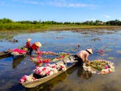 人们在宁静的湖面上划着木船，采摘充满活力的荷花