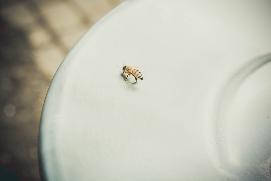 Idempotência em APIs REST: Como Evitar Processamento Duplicado