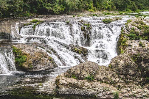 Immagine gratuita di acqua, alberi, ambiente