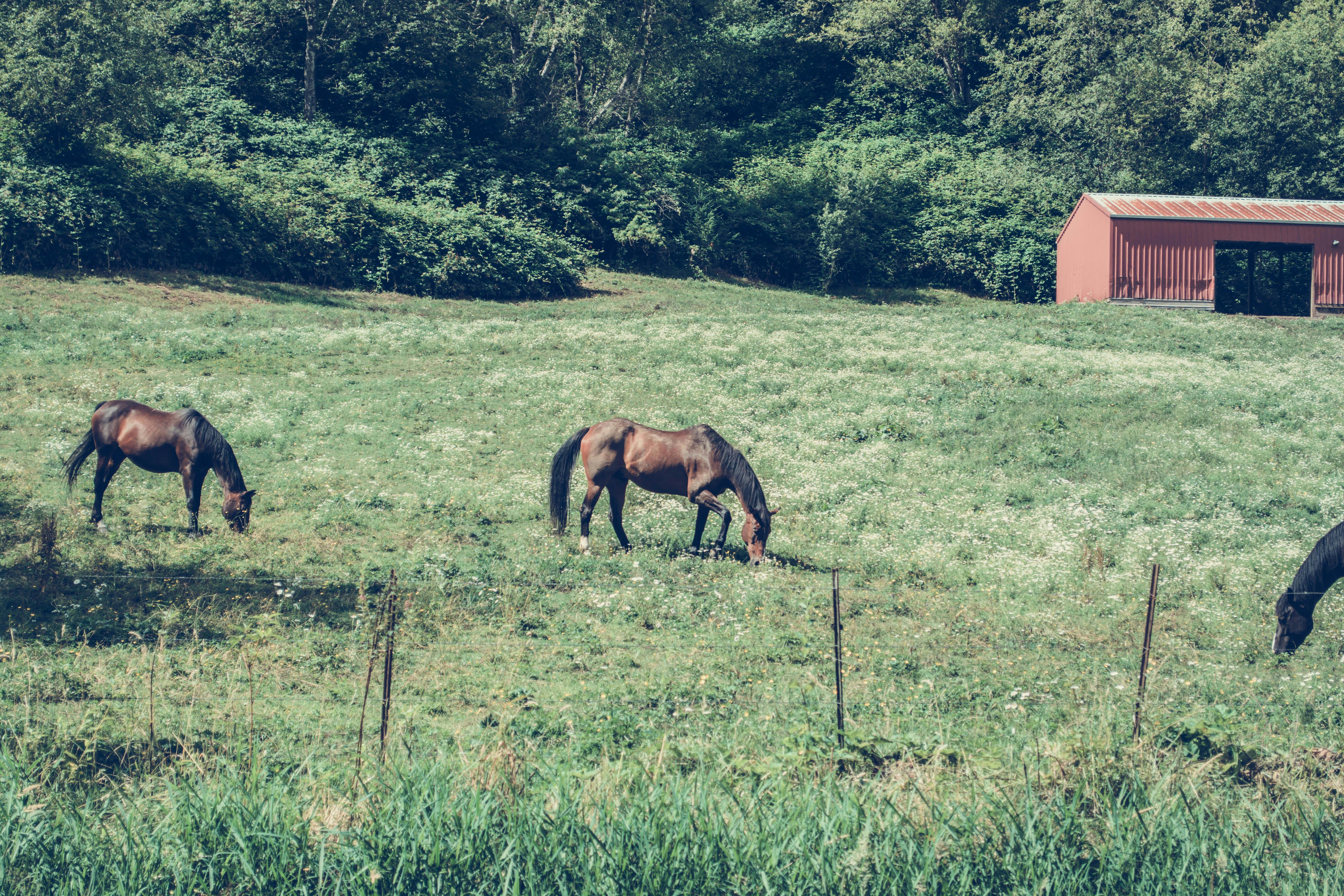 Landmarks in Willamette Valley