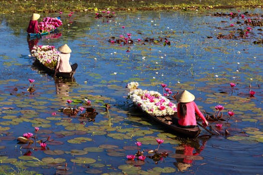 妇女乘独木舟穿行于莲花盛开的湖中，营造出宁静优美的景色