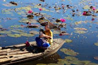 一个年轻的男孩和一只狗，乘着竹筏，在宁静的湖面上穿行于粉色的莲花之间