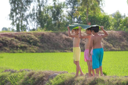 緑の野原の近くで立って頭に緑のバナナの葉を置く3人のトップレスの男の子