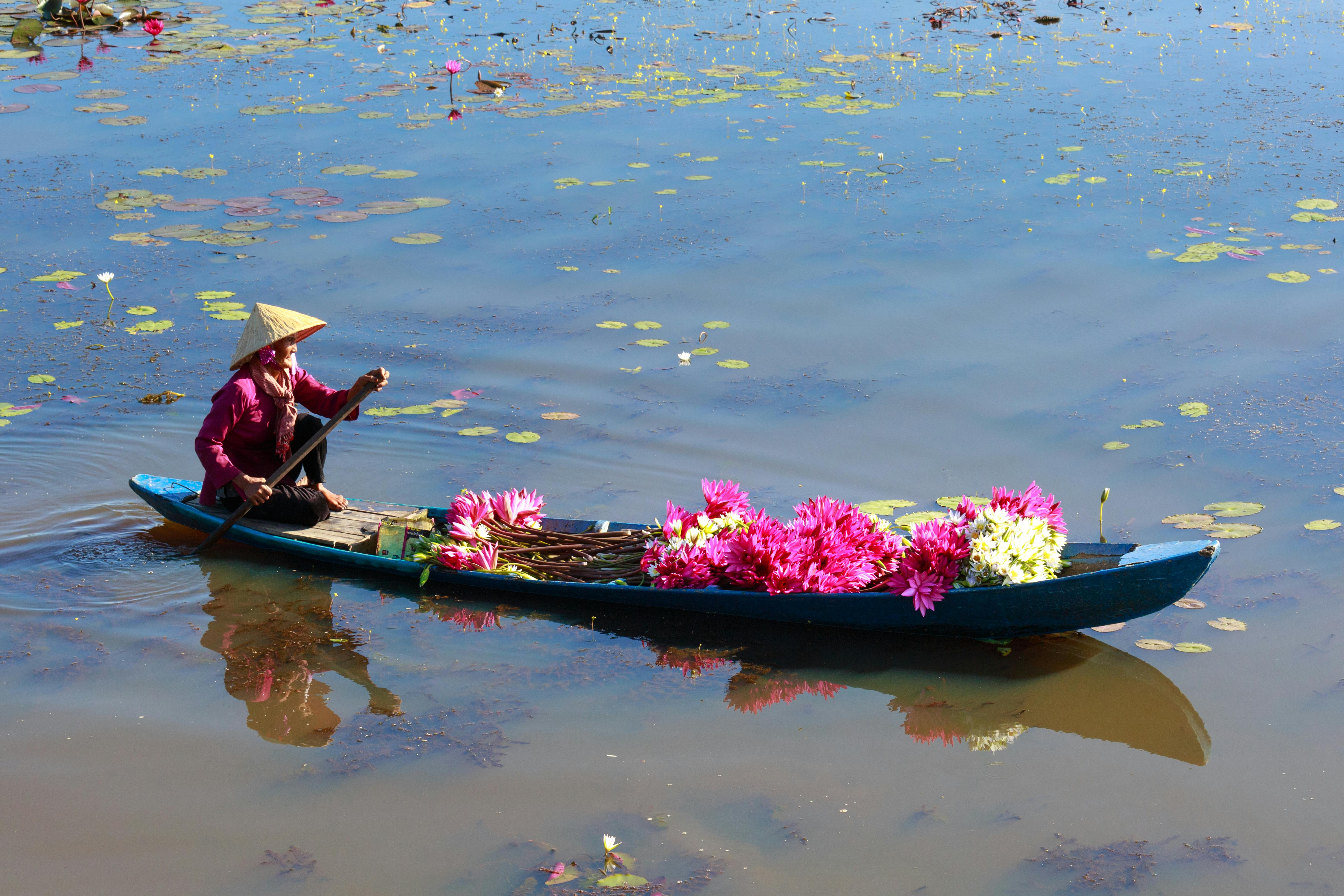 Photo Of Flowers In Boat · Free Stock Photo