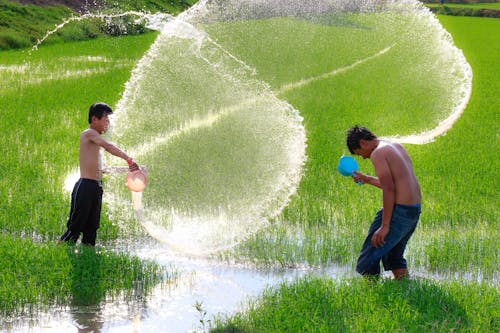Two Boys Playing With Water on Rice Field