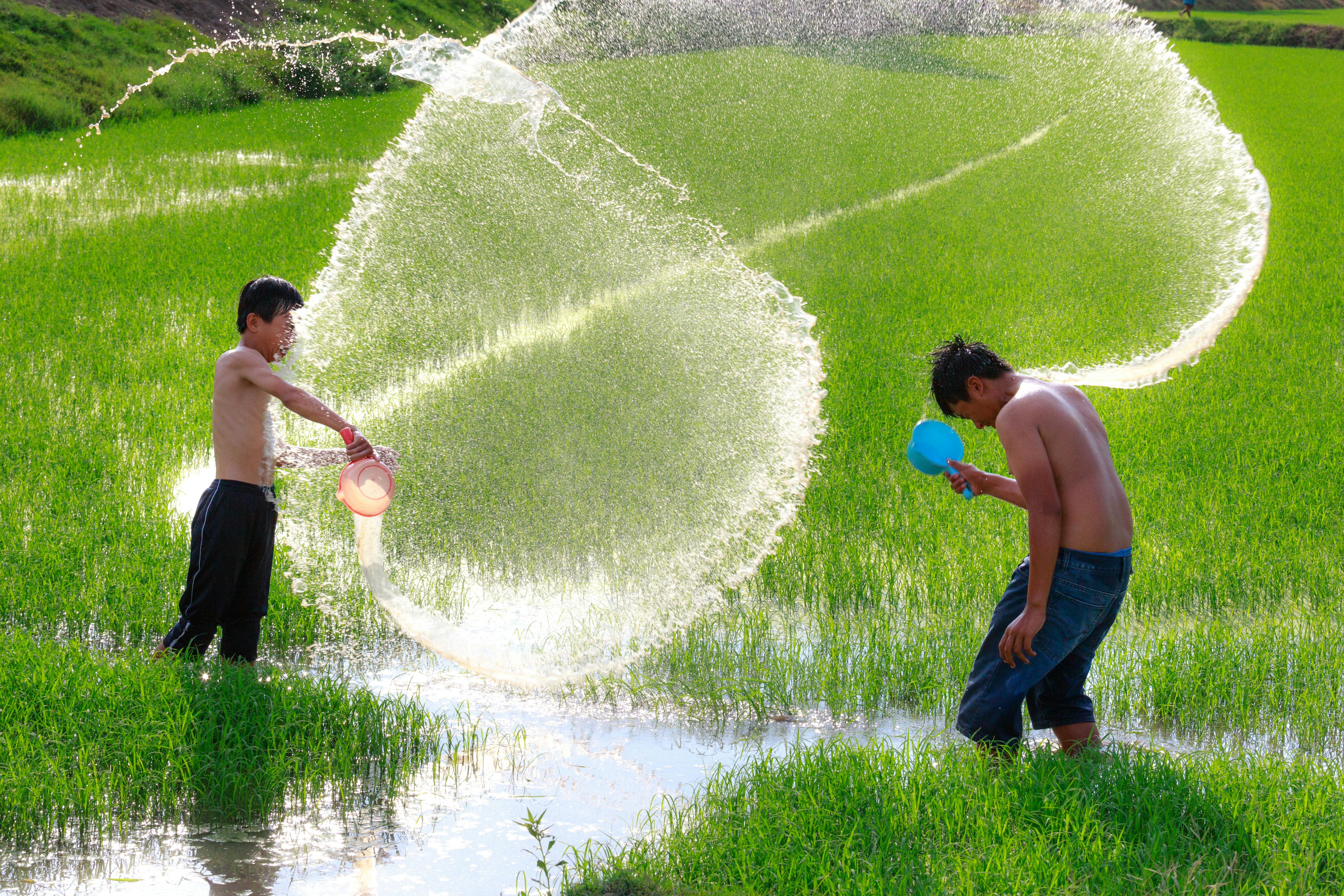 Two Boys Playing With Water on Rice Field \u00b7 Free Stock Photo