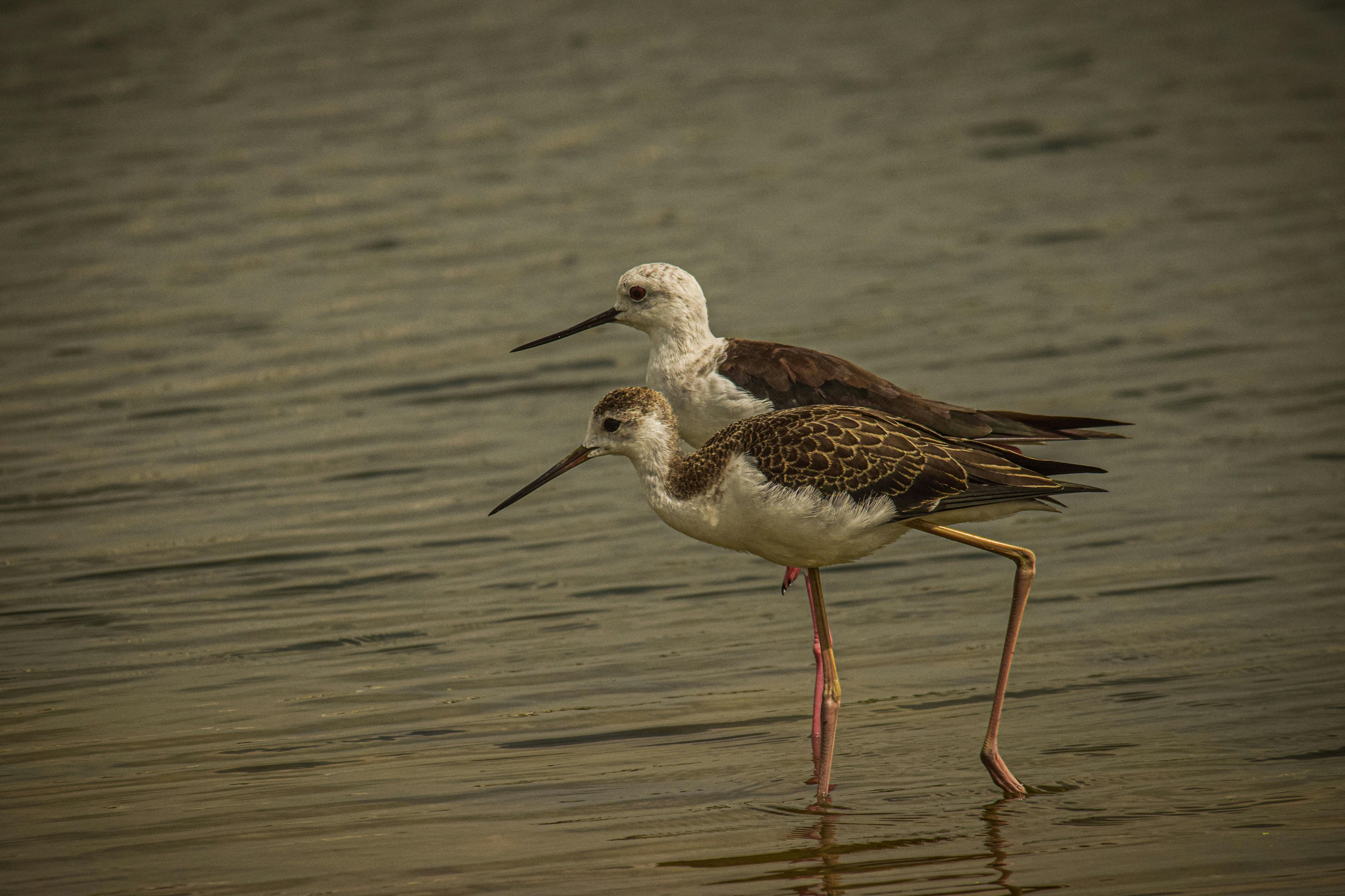 Modern barber tools including hair clippers and cosmetics