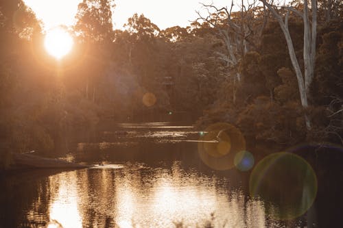河, 河床, 澳大利亞 的 免費圖庫相片