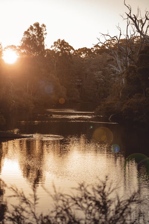 日落, 河, 河床 的 免費圖庫相片