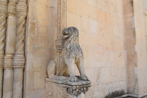 Beuatiful stone lion on cathedral in Šibenik.