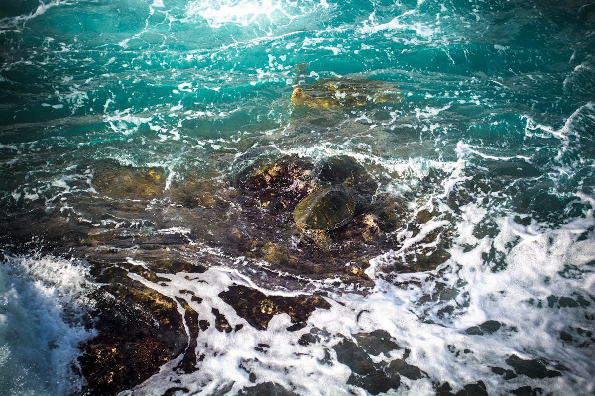 Steam train on heritage railway track. Photo via Pexels.