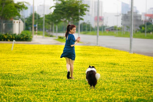 Gratis Foto Wanita Bermain Dengan Anjing Foto Stok
