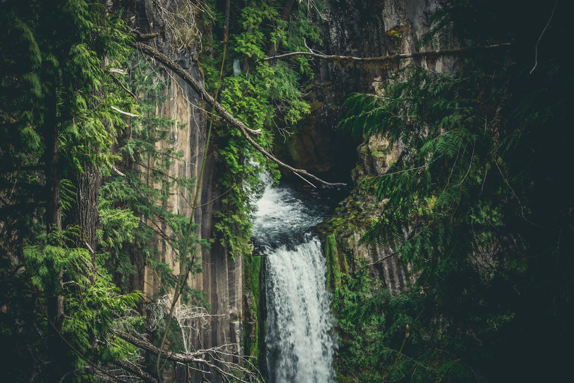 Základová fotografie zdarma na téma amazonský deštný prales, cestování, denní světlo