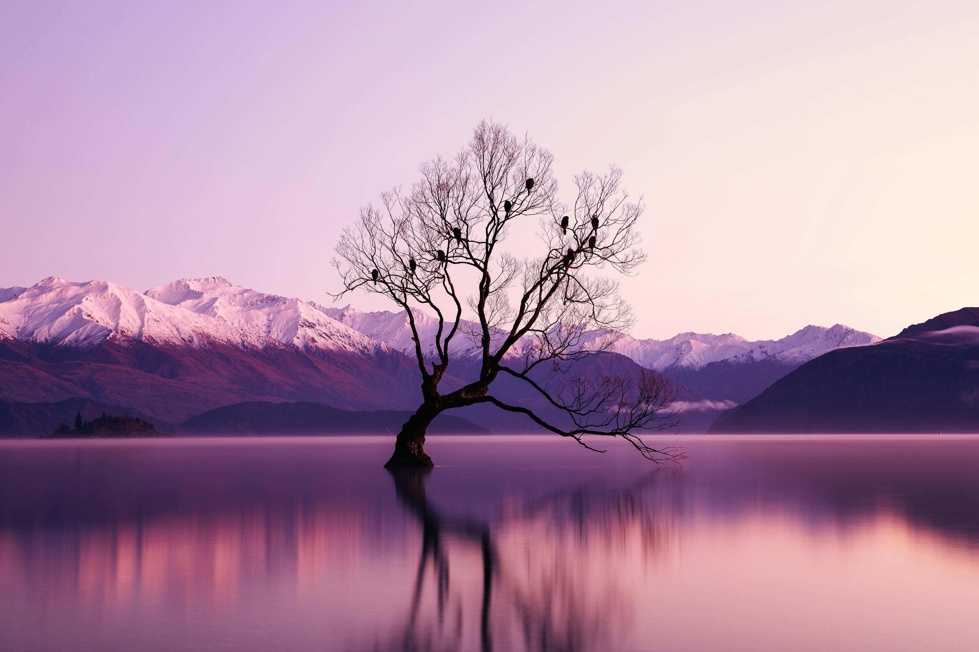 孤岛余生,一段人生逆袭的传奇之旅 孤岛余生,一段人生逆袭的传奇之旅