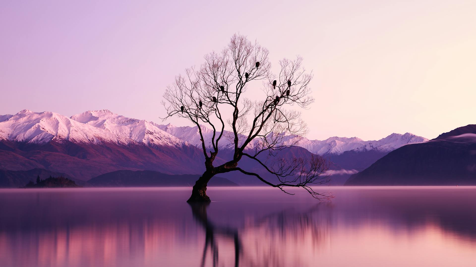 Electrical contractor services in Hillview