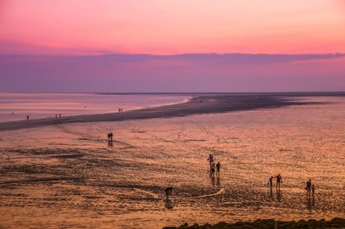 Free People enjoying a serene sunset at the seashore with vibrant pink and purple hues in the sky. Stock Photo