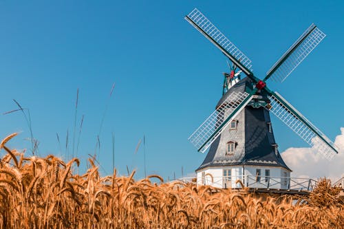 Kostenloses Stock Foto zu außerorts, borgsum, deutschland