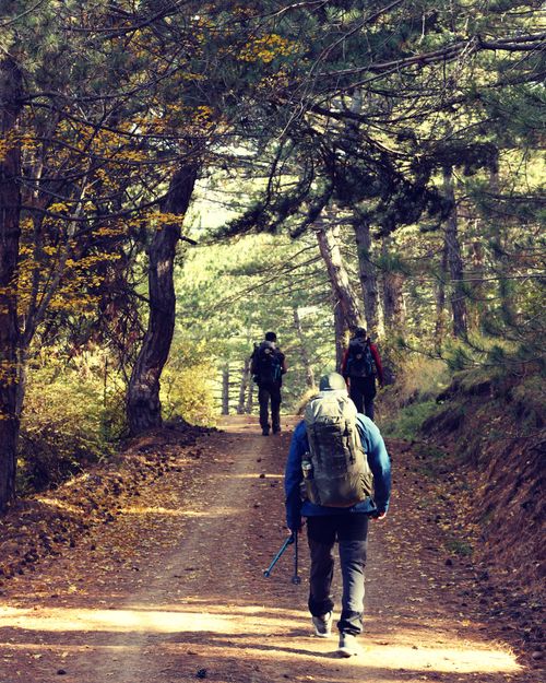 Free Hikers with backpacks walking on a dirt forest trail during autumn. Stock Photo