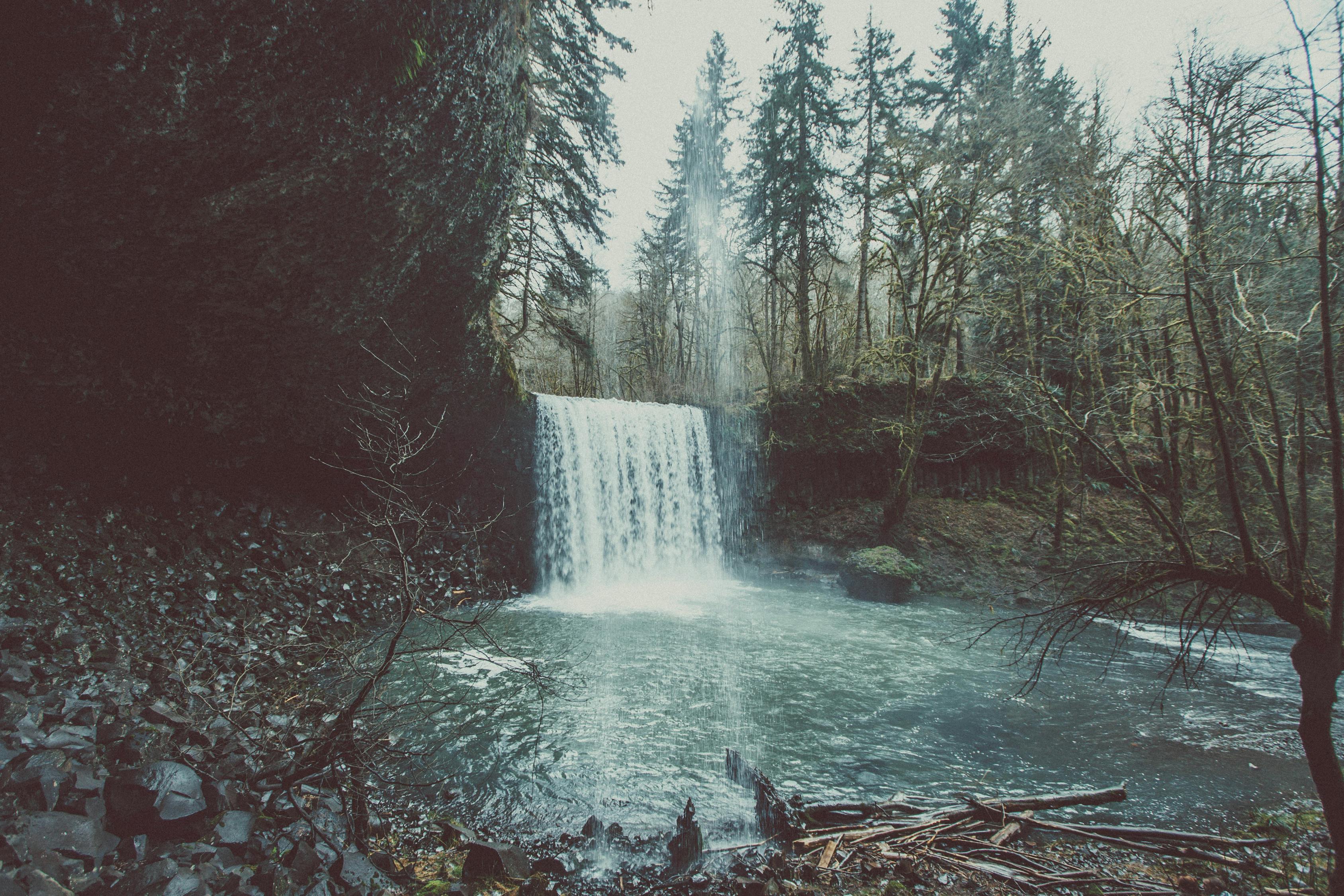 Waterfall Beside Forest Free Stock Photo waterfall-beside-forest-free-stock-photo