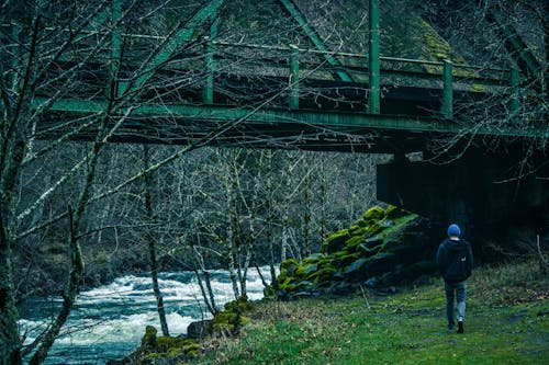 Free Man Walking Under Bridge Beside River Stock Photo