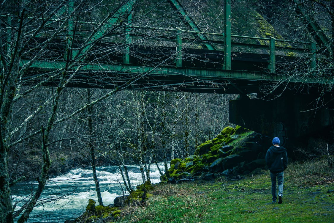 Gratis lagerfoto af bro, dagslys, flod Lagerfoto