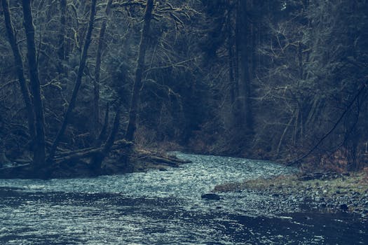 Free stock photo of cold, landscape, nature, water