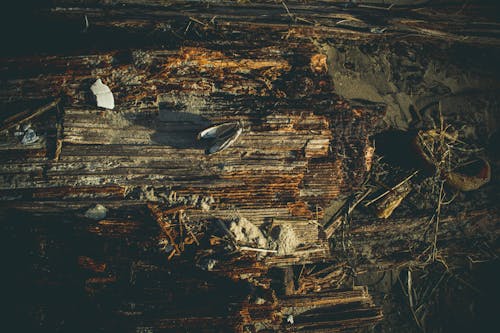 Darmowe zdjęcie z galerii z brudny, cień, drewno
