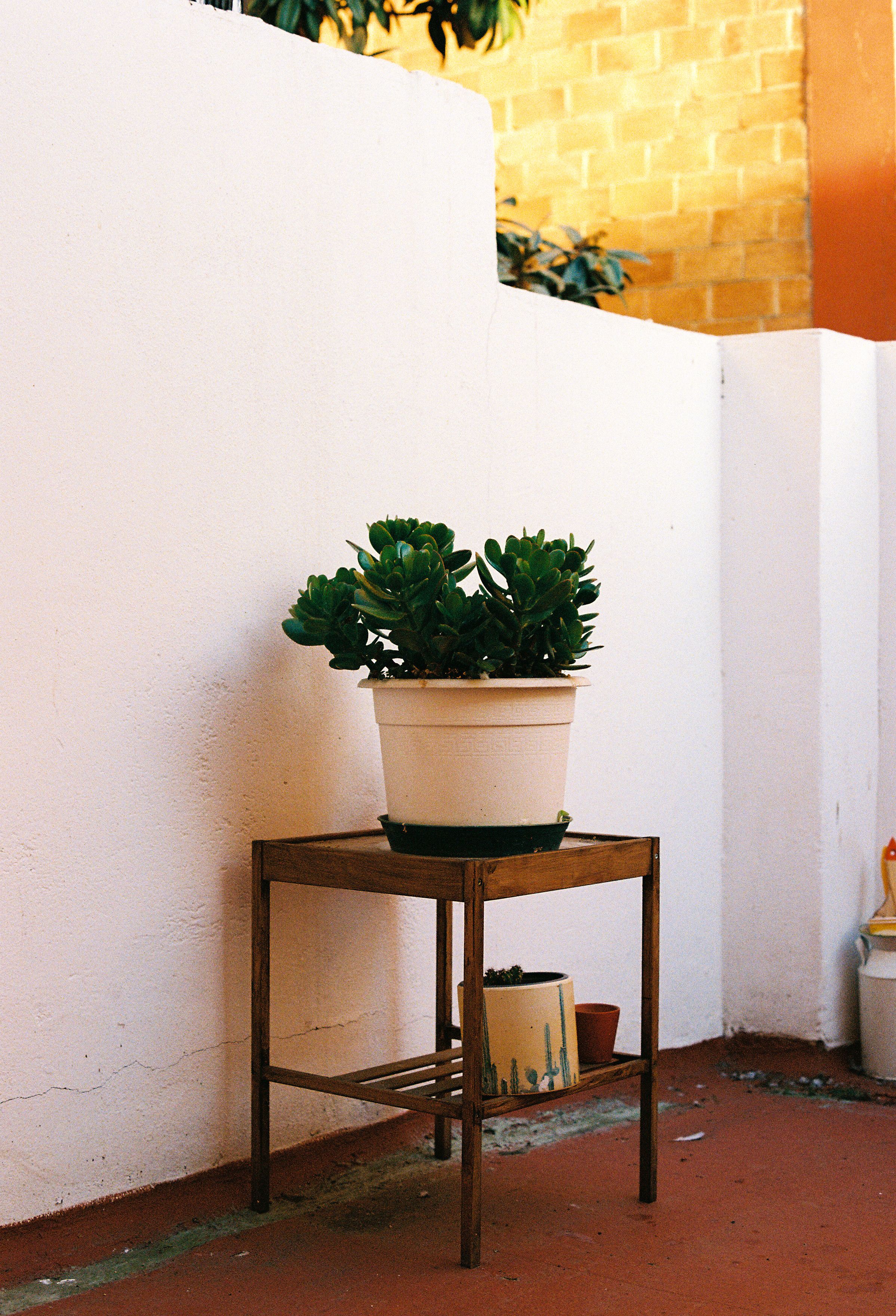 Stylish minimalist patio showcasing a potted succulent on a wooden stand