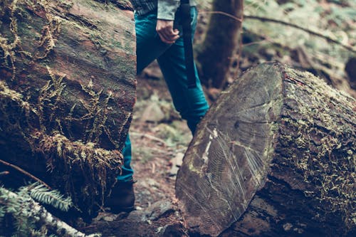 Person Walks Beside Wood Log