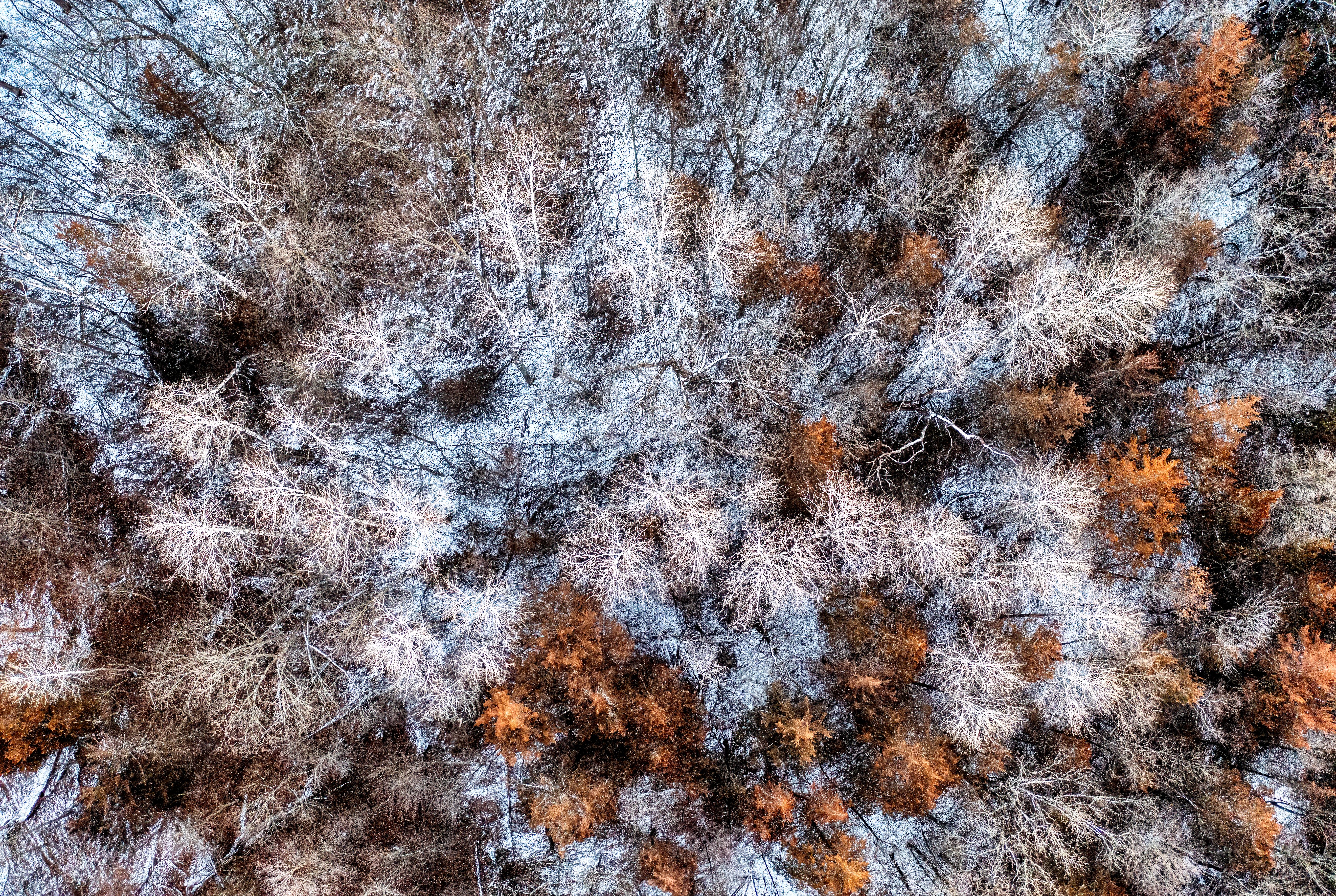 Snowflake Earnings Review: AI SaaS Is a CSP Tailwind — Photo by Tom Fisk on Pexels