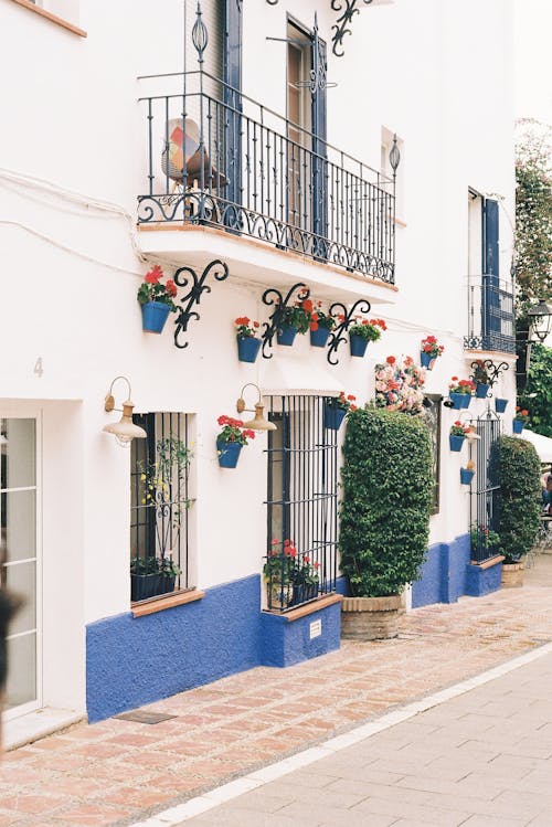 Foto d'estoc gratuïta de arbres, balcó, balcons