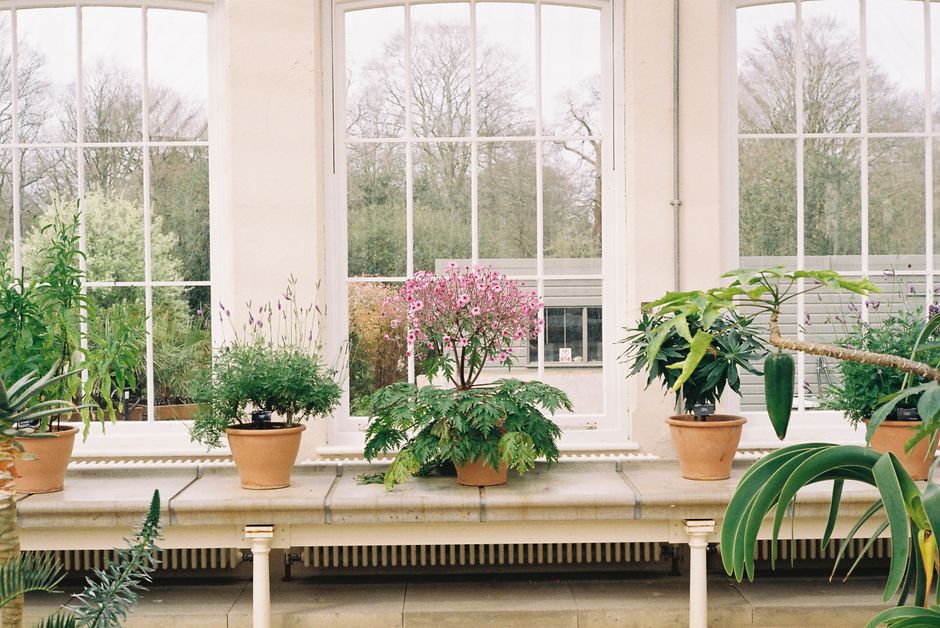 Bright indoor garden features potted plants on a table by large windows, inviting tranquility.