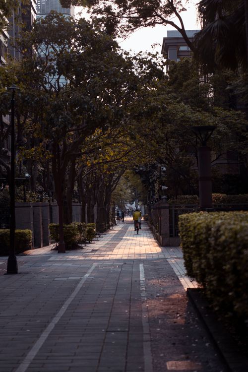 Free A serene city sidewalk lined with trees, featuring a cyclist during sunset. Stock Photo