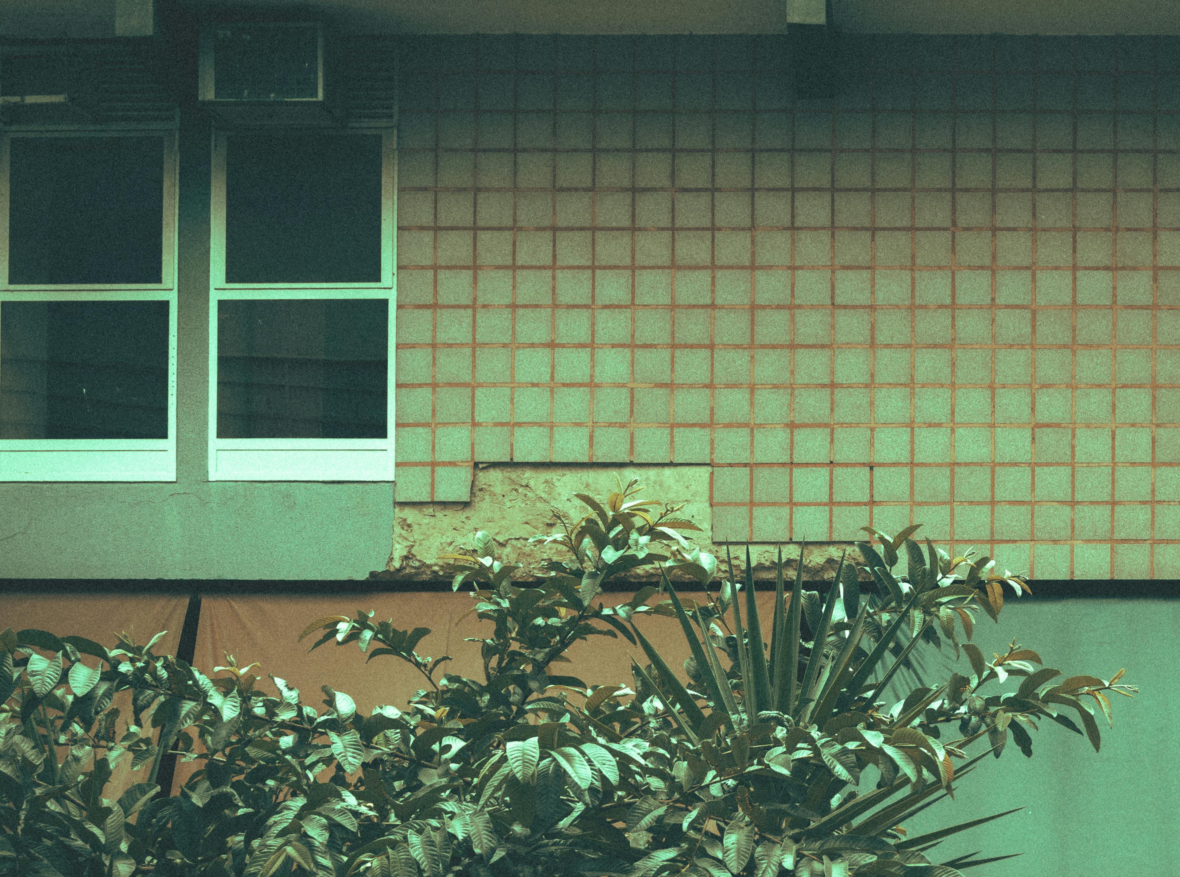 bezplatná Základová fotografie zdarma na téma @ venku, antropogenní, architektura Základová fotografie