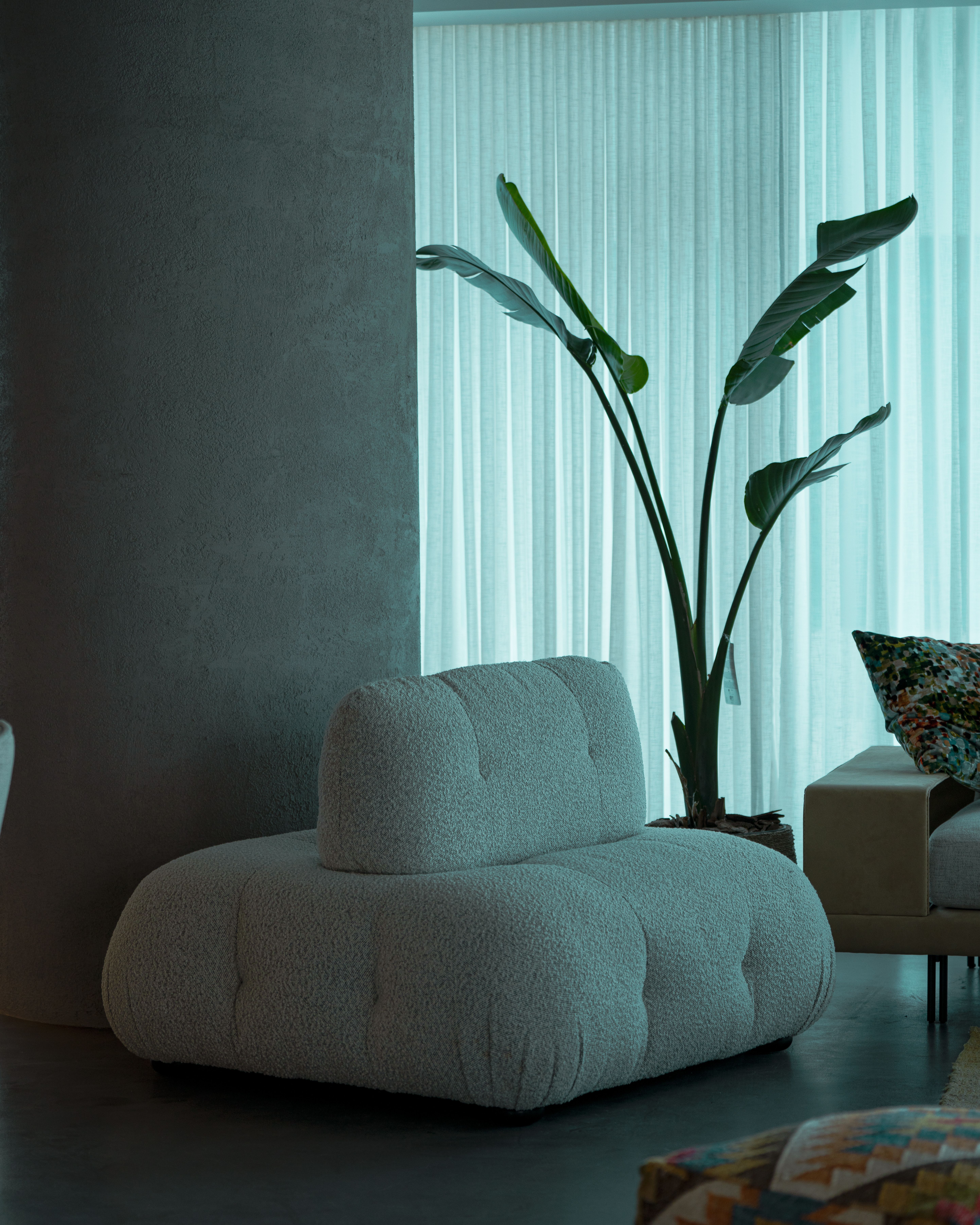 Modern Sofa