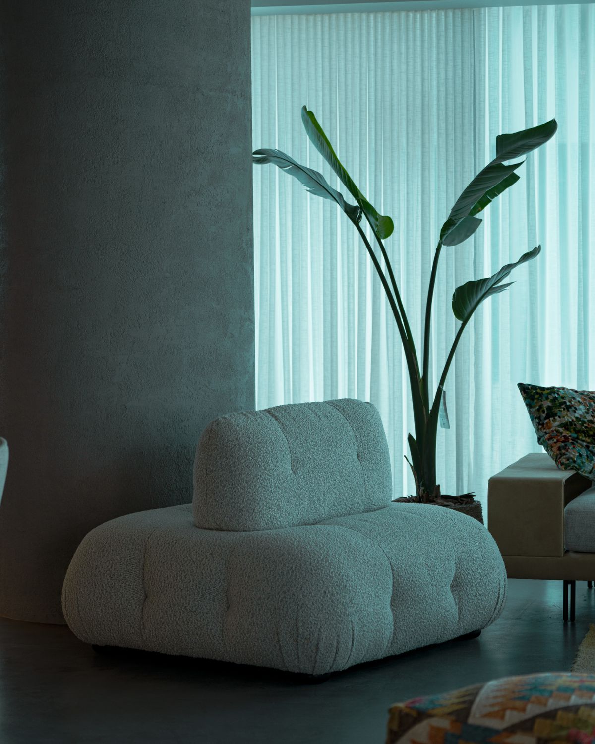 Modern living room with sofa and large potted plant
