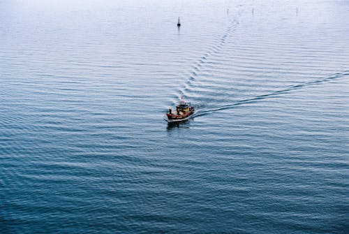 คลังภาพถ่ายฟรี ของ การพายเรือ, ดูนกตา, ทะเล