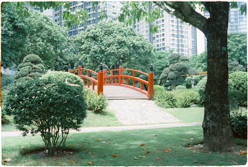 Free A red bridge in a park surrounded by trees Stock Photo