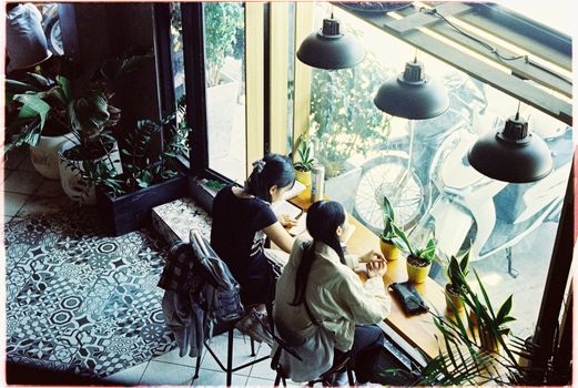 Two women enjoy a cozy café scene with plants and natural light streaming through windows.