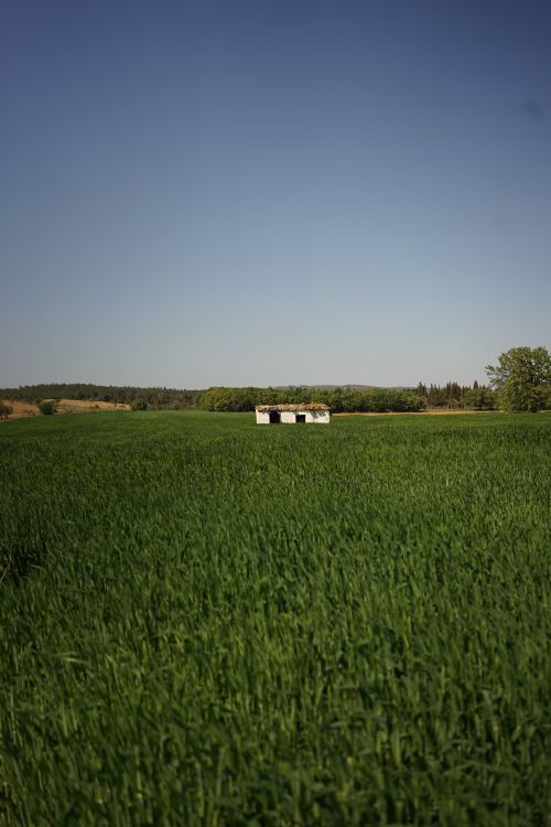 Free A solitary abandoned building amidst lush green fields under a clear sky. Stock Photo