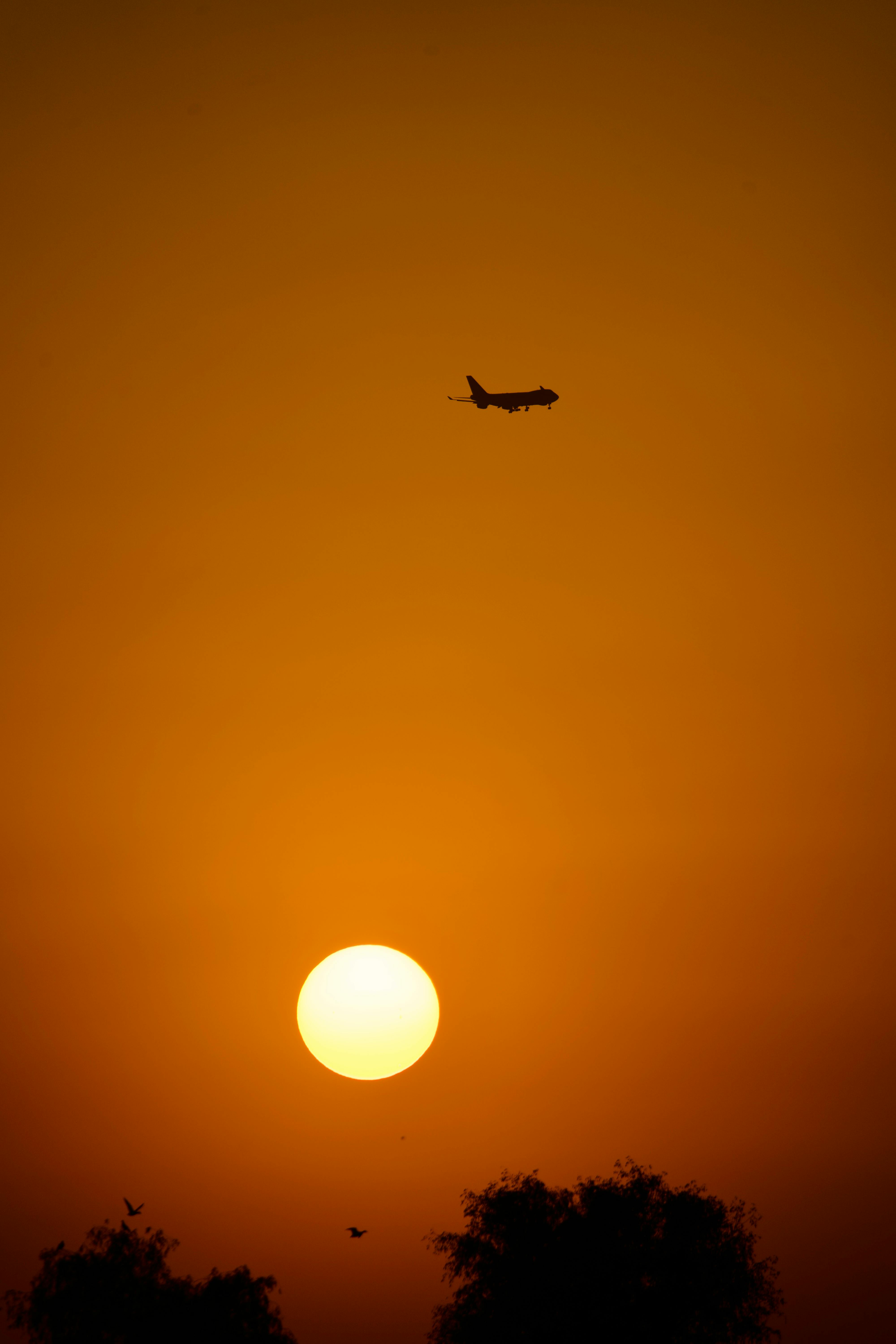 A scenic view of a silhouette airplane flying during sunset in Dubai.