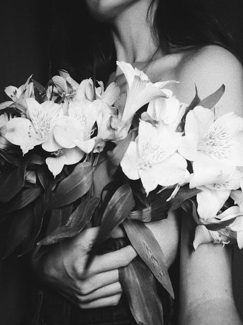 Free A woman holding flowers in her hands Stock Photo