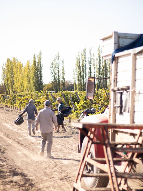 A group of people walking down a dirt road