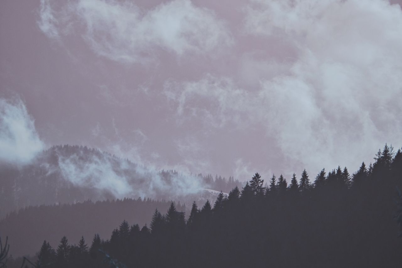 a mystical view of mist swirling over forested mountains against a dra