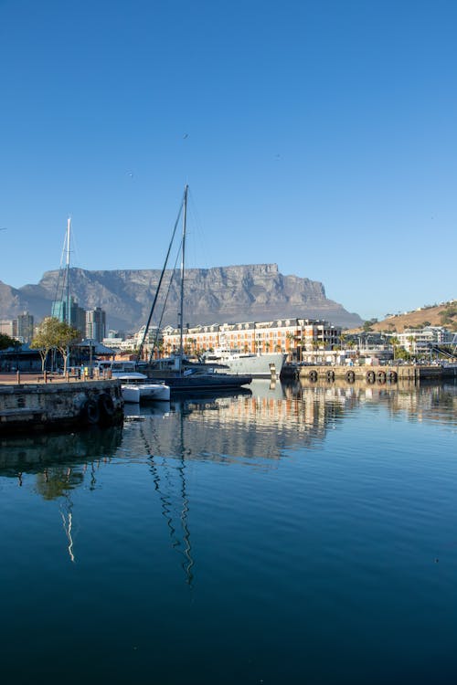 Explore the V&A Waterfront like a tourist