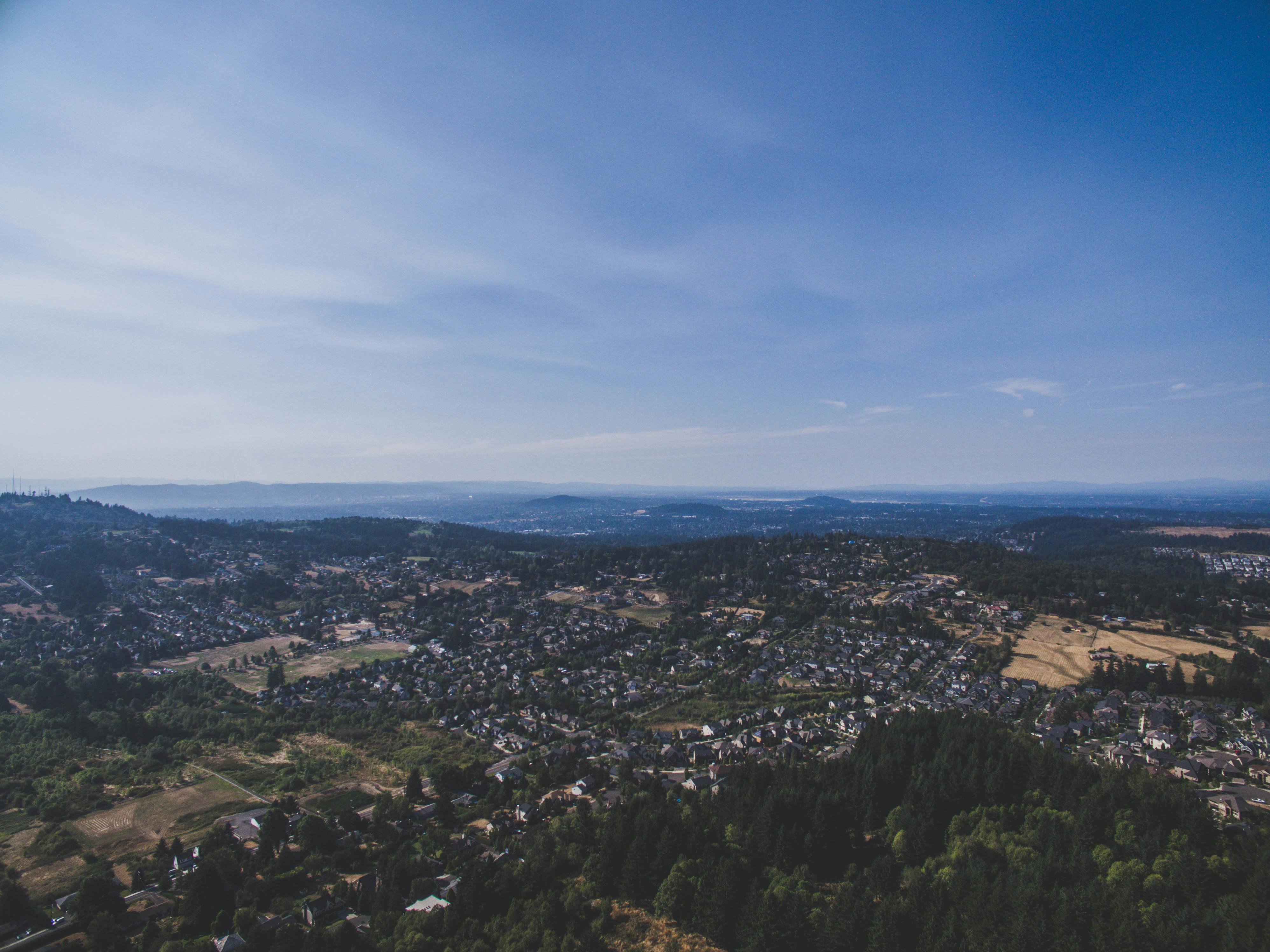 A cozy garden retreat with a fire pit and comfortable seating